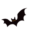 Halloween bat