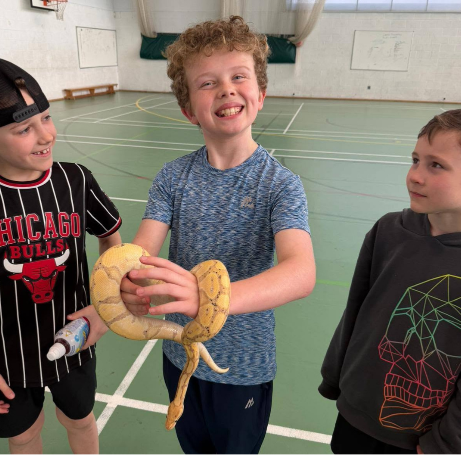 child holding big yellow snake during animal encounters at LSC holiday club