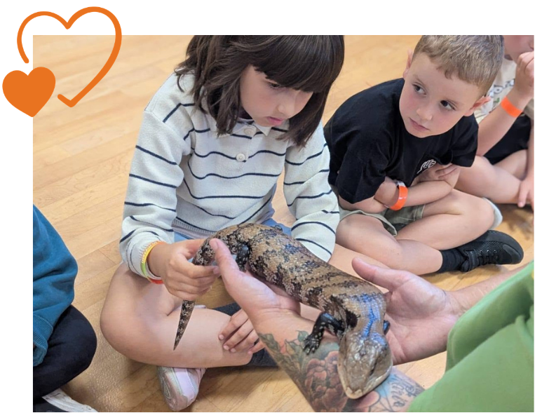 Girl holding lizard during animal petting experience at LSC holiday club.